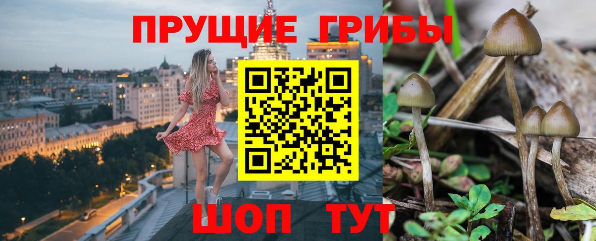 Псилоцибиновые грибы мицелий Соликамск