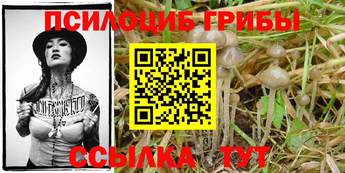 Соликамск  купить наркотики цена  Вход с VPN  Псилоцибиновые грибы Psilocybine cubensis 